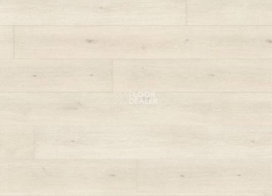 Ламинат Haro Tritty 100 Gran Via 4V ДУБ ЭМИЛИЯ БЕЛЫЙ 538765 фото 1 | FLOORDEALER